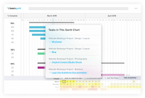 TeamGantt